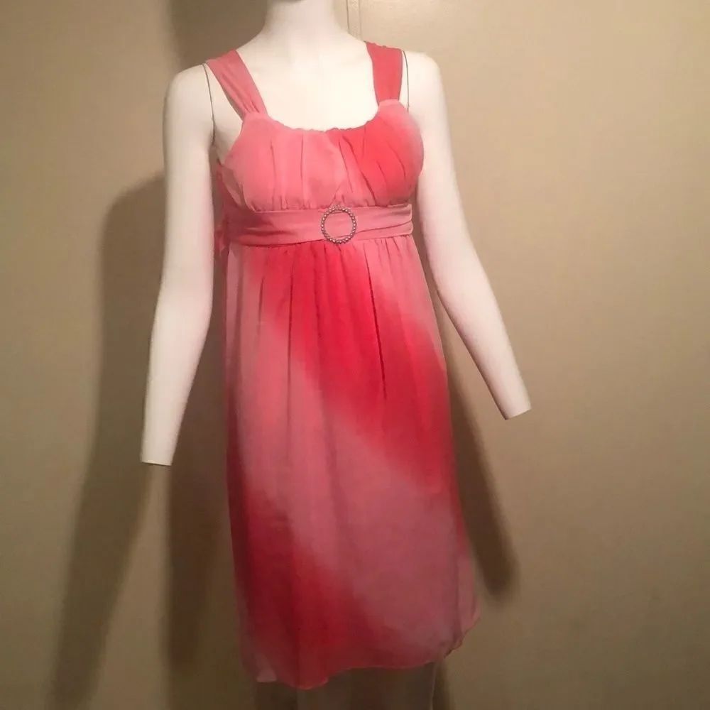 Holiday Edition Dress  